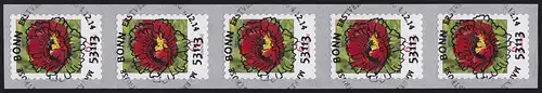 3121II Blume 62 Cent sk aus 500-Rolle 5er-Streifen, UNGERADE Nummer, EV-O Bonn