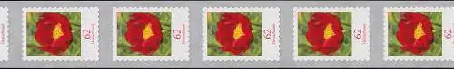 3121III Blume 62 Cent sk 11er-Übergang Großrolle 3/4-stellig 995-1000-1005, **