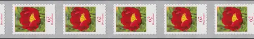 3121III Blume 62 Cent sk 11er-Übergang Großrolle 3/4-stellig 995-1000-1005, **