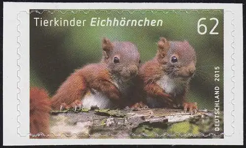 3129 Tierkinder: Eichhörnchen, selbstklebend aus FB 44, **