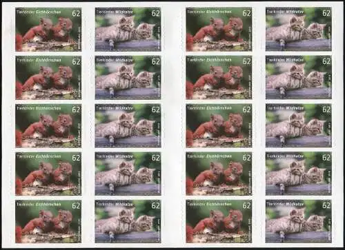 FB 44 Enfants d'animaux écureuils / chat sauvage, feuille de 10x 3129-3130, **