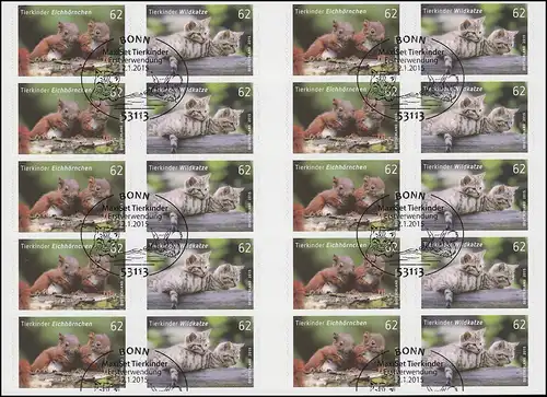 FB 44 Enfants d'animaux écureuils et chats sauvages, feuille feuille avec 5x 3129-3130, EV-O