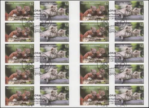 FB 44 Tierkinder Eichhörnchen und Wildkatze, Folienblatt mit 5x 3129-3130, EV-O