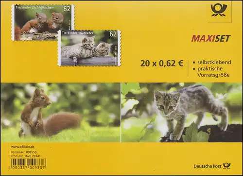 FB 44 Enfants d'animaux écureuils et chats sauvages, feuille feuille avec 5x 3129-3130, EV-O