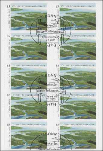 FB 45 Ostsee - Boddenlandschaft, Folienblatt mit 10x 3131, EV-O Bonn