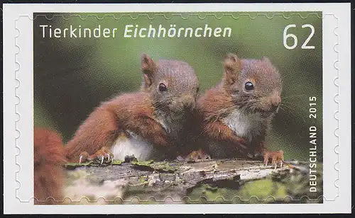 3129 Tierkinder: Eichhörnchen, selbstklebend, auf neutraler Folie, **