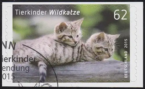 3130 Tierkinder: Wildkatze, selbstklebend, auf neutraler Folie, O