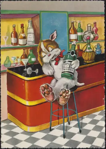 Pays Post 5231 Stemel EF Dürer Carte postale 523 ÂGE / WESTERWALD 28.9.62