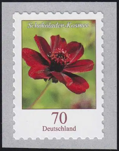 3197 Blume Schokoladen-Kosmee 70 Cent, SELBSTKLEBEND, postfrisch **