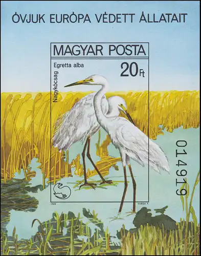 Bloc 146B Campagne européenne pour la protection de la nature - Oiseaux 1980, Block non-dente