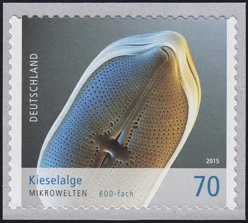 3205 Mikrowelten: Kieselalge, selbstklebend **