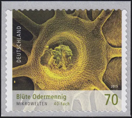 3206 Mikrowelten: Blüte Odermennig, selbstklebend **