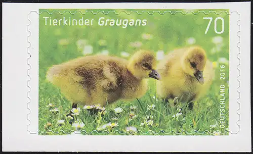 3222 Tierkinder: Graugans, selbstklebend aus Folienblatt 55, **