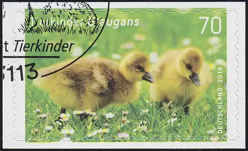 3222 Enfants d'animaux: Gris, autocollant, sur film neutre, O