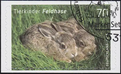 3223 Tierkinder: Feldhase, selbstklebend auf neutraler Folie, O