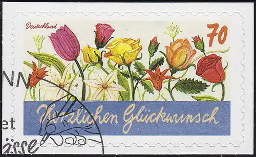 3243 Herzlichen Glückwunsch, selbstklebend, auf neutraler Folie, EV-O Bonn