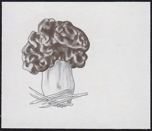 1937PH Champignons toxiques européens (25 pc) de 1974 Coupe de bord en pression de phase **