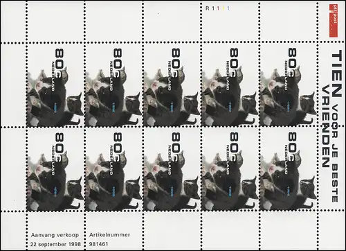 1677 Haustiere: Junge Katzen 1998 - 10er-Bogen, postfrisch **