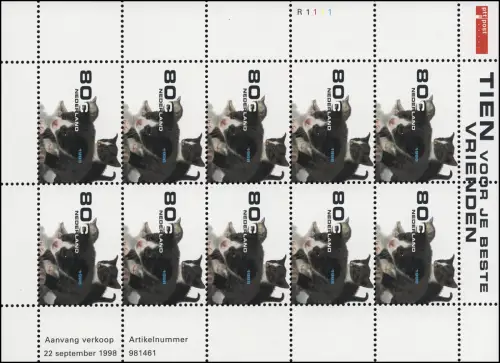 1677 Haustiere: Junge Katzen 1998 - 10er-Bogen, postfrisch **