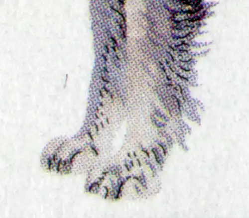 1798 Midderschnauzer - Bogen 10 avec PLF trait sur la patte avant, case 4, **