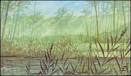 - Poissons 56 F 1990, ** - - Animaux - Poisson