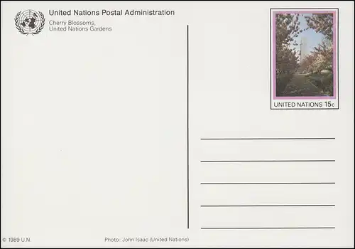Carte postale des Nations unies P 10 Fleur de cerisier 15 centimes 1989, inutilisé **