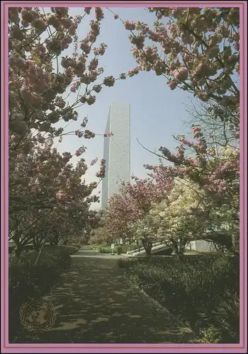 Carte postale des Nations unies P 10 Fleur de cerisier 15 centimes 1989, inutilisé **