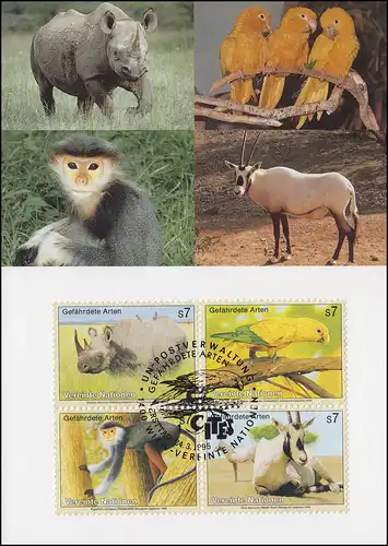 MK 31 de l'ONU Vienne 180-183 Espèces menacées Faune 1995, carte officielle maximale