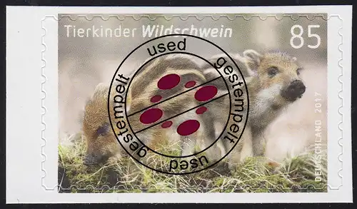 3293 Tierkinder - Wildschwein, selbstklebend aus Folienblatt 64, EV-O Bonn