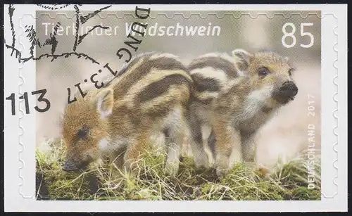 3293 Tierkinder - Wildschwein, selbstklebend auf neutraler Folie, EV-O Bonn