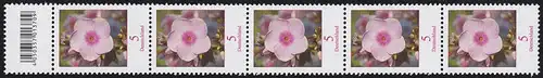 3296 Phlox 5 cent 500ers de grande taille, bandes de 5 avec champ de code **