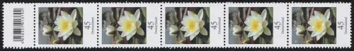 3303 Seerose 45 Cent aus 500er-Rolle, 5er-Streifen mit Codierfeld -792 **
