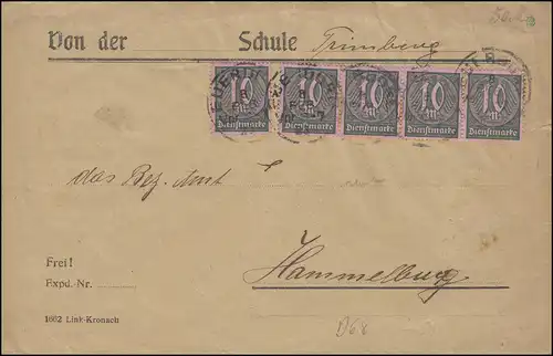 68 Service 10 M en MeF lettre EUERDORF 8.2.1923 à Hammelburg