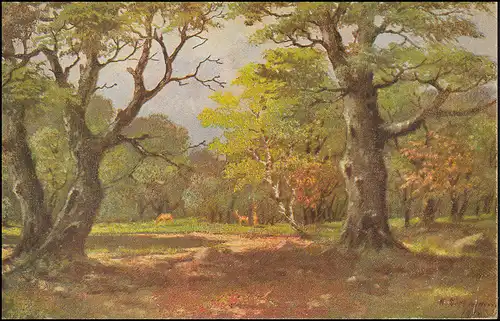 Marinefeldpost an einen Matrosen der SMH Donau Geleit-Flottille BERLIN 23.7.1918