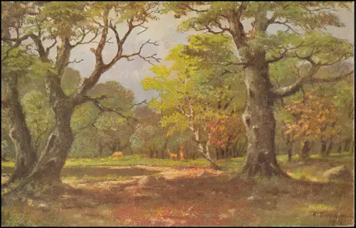 Poste de champ maritime à un marin de la Flottille guidée du Danube SMH BERLIN 23.7.1918