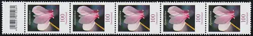 3365 Alpenveilchen 100 Cent, 5er-Streifen mit Codierfeld ** postfrisch / MNH