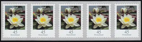 3376 schlasse 45 centimètre carré de 5 avec numéro UNGERADER **