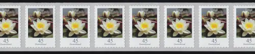 3376 Seerose 45 Cent sk 11er-Übergang 3/4-stellig 995-1000-1005, **