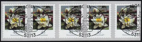 3376 Seerose 45 Cent sk 5er-Streifen GERADE Nummer, EV-O Bonn 12.4.2018