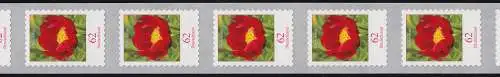 3121III Blume 62 Cent sk aus 5000er-Rolle 11er-Streifen mit drei Nummern **