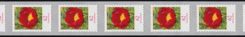 3121III Blume 62 Cent sk aus 5000er-Rolle 11er-Streifen mit drei Nummern **