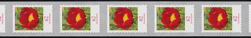3121III Blume 62 Cent sk aus der Groß-Rolle 11er mit 3 zweistelligen Nummern **