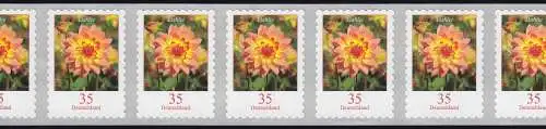 2514 Dahlie 35 Cent sk 11er-Übergang 2/3-stellig 95-100-105, postfrisch **