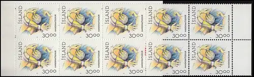 Island Markenheftchen 781 Sport Handball 1993, ** postfrisch