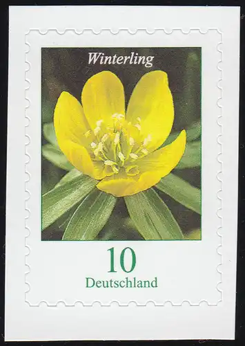 3430I Blume Winterling 10 Cent, selbstklebend aus FB 81I, postfrisch **