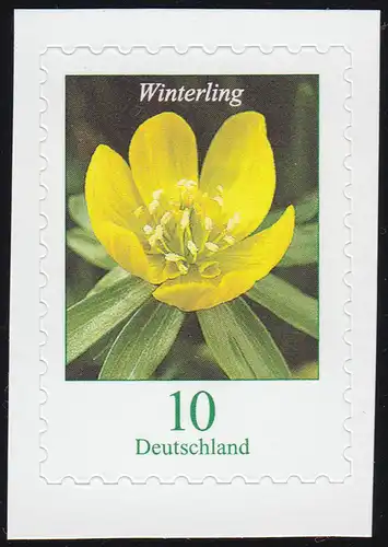 3430I Fleur Winterling 10 cents, autocollant en FB 81I, **