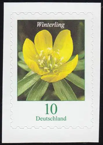 3430I Fleur Winterling 10 cents, autocollant en FB 81I, **