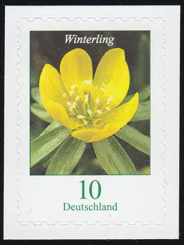 3430 Blume Winterling 10 Cent, selbstklebend auf neutraler Folie, **