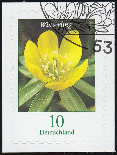 3430 Blume Winterling 10 Cent, selbstklebend auf neutraler Folie, O