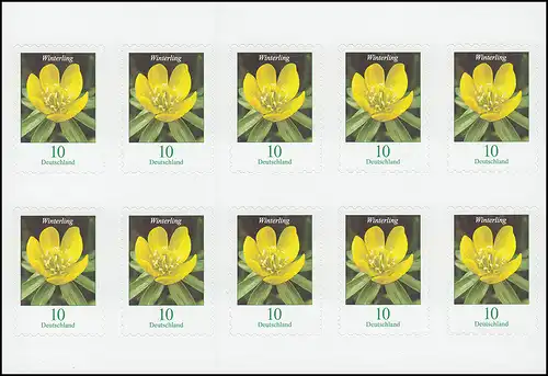 FB 81I Blume Winterling 10 Cent, Folienblatt mit 10x 3430I, postfrisch **